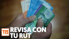 PGU: Revisa con tu RUT si recibes hasta $214.296 mensuales PGU: Revisa con tu RUT si recibes hasta $214.296 mensuales