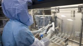 Alerta por nuevo brote de letal enfermedad por virus de Marburgo Alerta por nuevo brote de letal enfermedad por virus de Marburgo