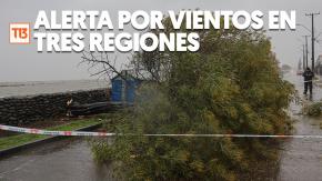 Alerta meteorológica por vientos para tres regiones de la zona centro sur