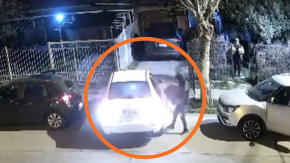 Se jactaban en redes sociales y el líder operaba desde la cárcel: Cae banda dedicada a los “turbazos” Se jactaban en redes sociales y el líder operaba desde la cárcel: Cae banda dedicada a los “turbazos”