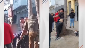 Vecinos amarraron en un árbol a delincuente que participó en violento asalto Vecinos amarraron en un árbol a delincuente que participó en violento asalto