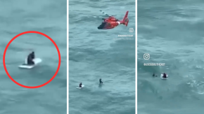 Rescatan a hombre que flotaba sobre cooler en medio del mar tras paso del Huracán Milton Rescatan a hombre que flotaba sobre cooler en medio del mar tras paso del Huracán Milton