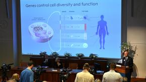 ¿Permitirá curar enfermedades? Importancia y beneficios del hallazgo del microARN, galardonado con el Nobel de Medicina ¿Permitirá curar enfermedades? Importancia y beneficios del hallazgo del microARN, galardonado con el Nobel de Medicina