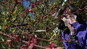 Primavera y alergias: Consejos nutricionales para afrontar la temporada Primavera y alergias: Consejos nutricionales para afrontar la temporada