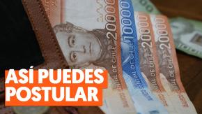 Online o presencial: Así puedes postular a los $214 mil mensuales de la PGU