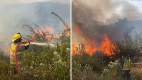 Incendio forestal afecta Laguna Verde en Valparaíso: Conaf trabaja en el lugar