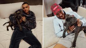 Revelan desgarrador pedido de Liam Payne en caso de una desgracia: tiene que ver con su perro