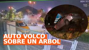 VIDEO | El momento en que auto volcó sobre árbol en Quilicura: intentó evitar encerrona VIDEO | El momento en que auto volcó sobre árbol en Quilicura: intentó evitar encerrona