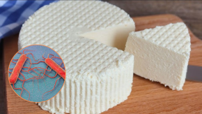 Minsal extiende alerta sanitaria por presencia de listeria en quesillo distribuido en Ñuble Minsal extiende alerta sanitaria por presencia de listeria en quesillo distribuido en Ñuble
