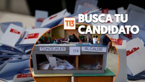 Busca tu candidato: Revisa quiénes se postulan a alcalde y concejales en tu comuna