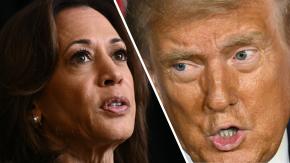 La lucha por los "estados bisagra": estos son los 7 lugares que podrían definir la elección en EEUU La lucha por los "estados bisagra": estos son los 7 lugares que podrían definir la elección en EEUU
