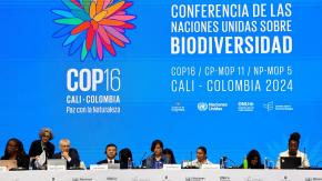 Escasos avances en la recta final de la COP16