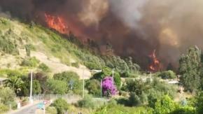 Ordenan evacuación de sector Los Flores por incendio forestal que se desarrolla en la comuna de Navidad