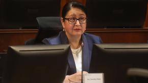 Ministro de Justicia ante ratificación de Dorothy Pérez: "Creo que dio garantías amplias a todos los sectores" Ministro de Justicia ante ratificación de Dorothy Pérez: "Creo que dio garantías amplias a todos los sectores"
