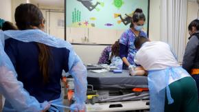 Muere menor que estaba internada por contagio de bacteria Mycoplasma en la región de O’Higgins Muere menor que estaba internada por contagio de bacteria Mycoplasma en la región de O’Higgins