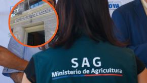 Denuncian que periodista del SAG gana millonario sueldo que supera al de su jefa: Contratación habría sido solicitada por director nacional