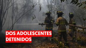 Dos adolescentes detenidos por incendios forestales en Cerro Alegre de Valparaíso