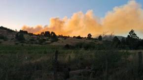 Incendio forestal afecta a Laguna Verde en Valparaíso: Solicitan evacuar sectores Las Gaviotas y Caleta Grande