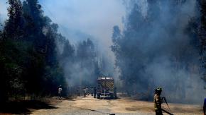 Alerta roja en Viña del Mar por incendio forestal: Ordenan evacuar dos sectores