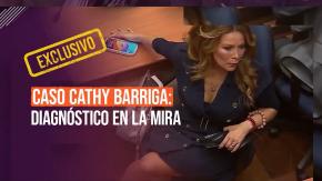 Reportajes T13: Investigan informe médico de hijo de Cathy Barriga Reportajes T13: Investigan informe médico de hijo de Cathy Barriga