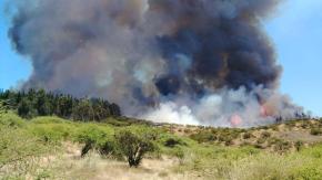 Alerta roja para Marchigüe por incendio forestal: Es cercano a sectores habitados y hay evacuación en sector Pailimo Alerta roja para Marchigüe por incendio forestal: Es cercano a sectores habitados y hay evacuación en sector Pailimo