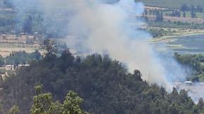 Alerta roja en Paine por incendio forestal: Se desarrolla cercano a lugares habitados Alerta roja en Paine por incendio forestal: Se desarrolla cercano a lugares habitados