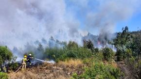 Senapred decreta Alerta Roja en la comuna de Ñiquén por incendio forestal que amenaza viviendas