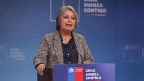 Jara arremetió contra las AFP: "Empresas privadas con fines de lucro no deberían tomar posición en un debate político" Jara arremetió contra las AFP: "Empresas privadas con fines de lucro no deberían tomar posición en un debate político"