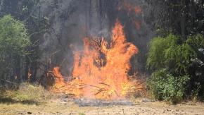 Alerta temprana preventiva para la región del Biobío por amenaza de incendios forestales Alerta temprana preventiva para la región del Biobío por amenaza de incendios forestales