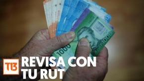 Solamente con tu RUT: Revisa AQUÍ si tienes bonos pendientes de cobro Solamente con tu RUT: Revisa AQUÍ si tienes bonos pendientes de cobro