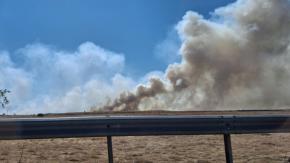 Senapred declara Alerta Roja en Quilicura por incendio forestal que amenaza 30 viviendas