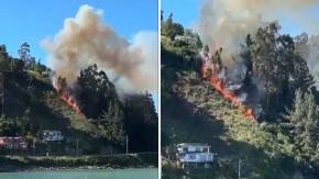 Declaran alerta roja en Tomé por incendio forestal