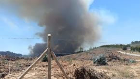 Senapred declara Alerta Roja para Hualqui por incendio forestal: se activa SAE Senapred declara Alerta Roja para Hualqui por incendio forestal: se activa SAE