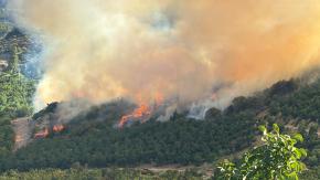 Incendio forestal se registra en la comuna de Maule