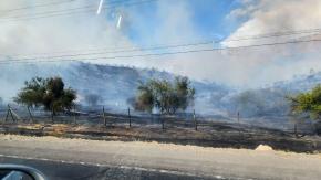 Alerta Roja para Colina y Tiltil por incendios forestales: Se ordenó evacuar un sector