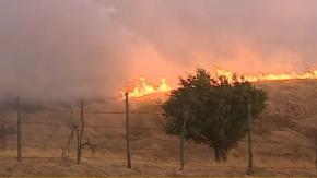 Abarcan tres regiones: Todas las alertas rojas por incendios forestales que hay en el país