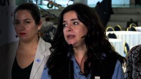 La errática conducta de la ministra Orellana en los casos de violencia contra mujeres