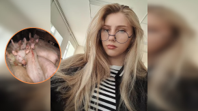 Joven rusa muere desangrada tras ser atacada por sus propios cerdos Joven rusa muere desangrada tras ser atacada por sus propios cerdos