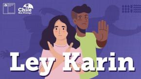 Primeros cinco meses de la Ley Karin: Casi 10 mil denuncias, más del 80% por acoso laboral y principales denunciantes son mujeres Primeros cinco meses de la Ley Karin: Casi 10 mil denuncias, más del 80% por acoso laboral y principales denunciantes son mujeres