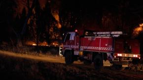 Fuertes incendios arrasan parques naturales en Australia Fuertes incendios arrasan parques naturales en Australia