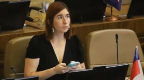 Democracia Viva: el largo y sospechoso proceso de la investigación a la diputada Catalina Pérez