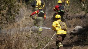 Municipalidad de Los Sauces tras muerte de tres brigadistas en incendios: "Sacrificaron sus vidas por protegernos"