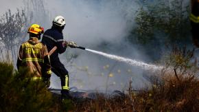 CMPC lamenta el fallecimiento de 3 brigadistas tras combatir incendio forestal: siniestro ya afectó 400 hectáreas CMPC lamenta el fallecimiento de 3 brigadistas tras combatir incendio forestal: siniestro ya afectó 400 hectáreas