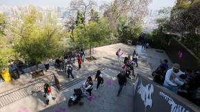 Evacúan Zoológico Metropolitano por caída de un árbol en el recinto de los chimpancés Evacúan Zoológico Metropolitano por caída de un árbol en el recinto de los chimpancés