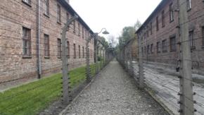 Sobrevivientes de Auschwitz alertan de la vuelta de la “ideología del odio” Sobrevivientes de Auschwitz alertan de la vuelta de la “ideología del odio”