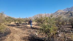 Muere adulta mayor en incendios forestales de San Esteban Muere adulta mayor en incendios forestales de San Esteban