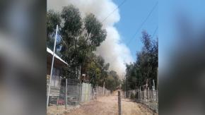 Senapred ordena evacuar sector de La Ligua por incendio forestal: Ruta 5 Norte fue parcialmente cortada