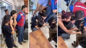 La viral reacción de familia que se reencontró con su perrita perdida hace 4 años: “Estábamos en shock” La viral reacción de familia que se reencontró con su perrita perdida hace 4 años: “Estábamos en shock”