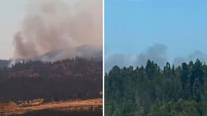 Incendio forestal afecta a la Reserva Nacional Lago Peñuelas en Valparaíso: decretaron alerta roja