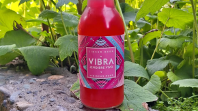 Cadena de Emprendedores: Vibra Jengibre Vivo y sus deliciosas bebidas saludables 